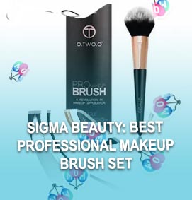 Best sigma blush brush