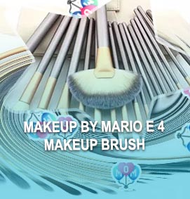 Professional makeup brushes